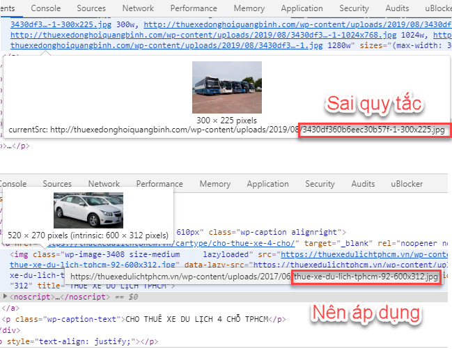 So sánh hai cách đặt tên của hai website cho thuê xe du lịch (ảnh internet)